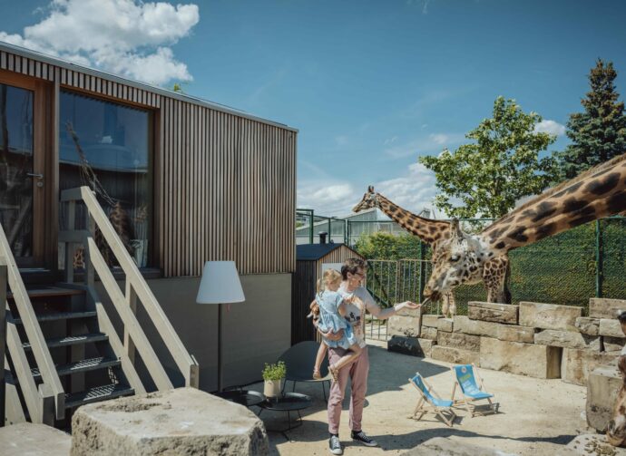 Diesen Sommer Sind Die Swiss Family Hotels Im Zoo!